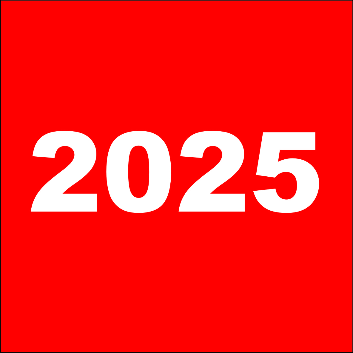 Young Achievers 2025